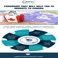 Regulated Immigration Consultant for Canada 