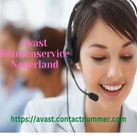 Bel het telefoonnummer van Avast Nederland voor elke vraag 31970102