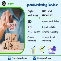 igenr8 B2B Lead Generation and Digital Marketing Services